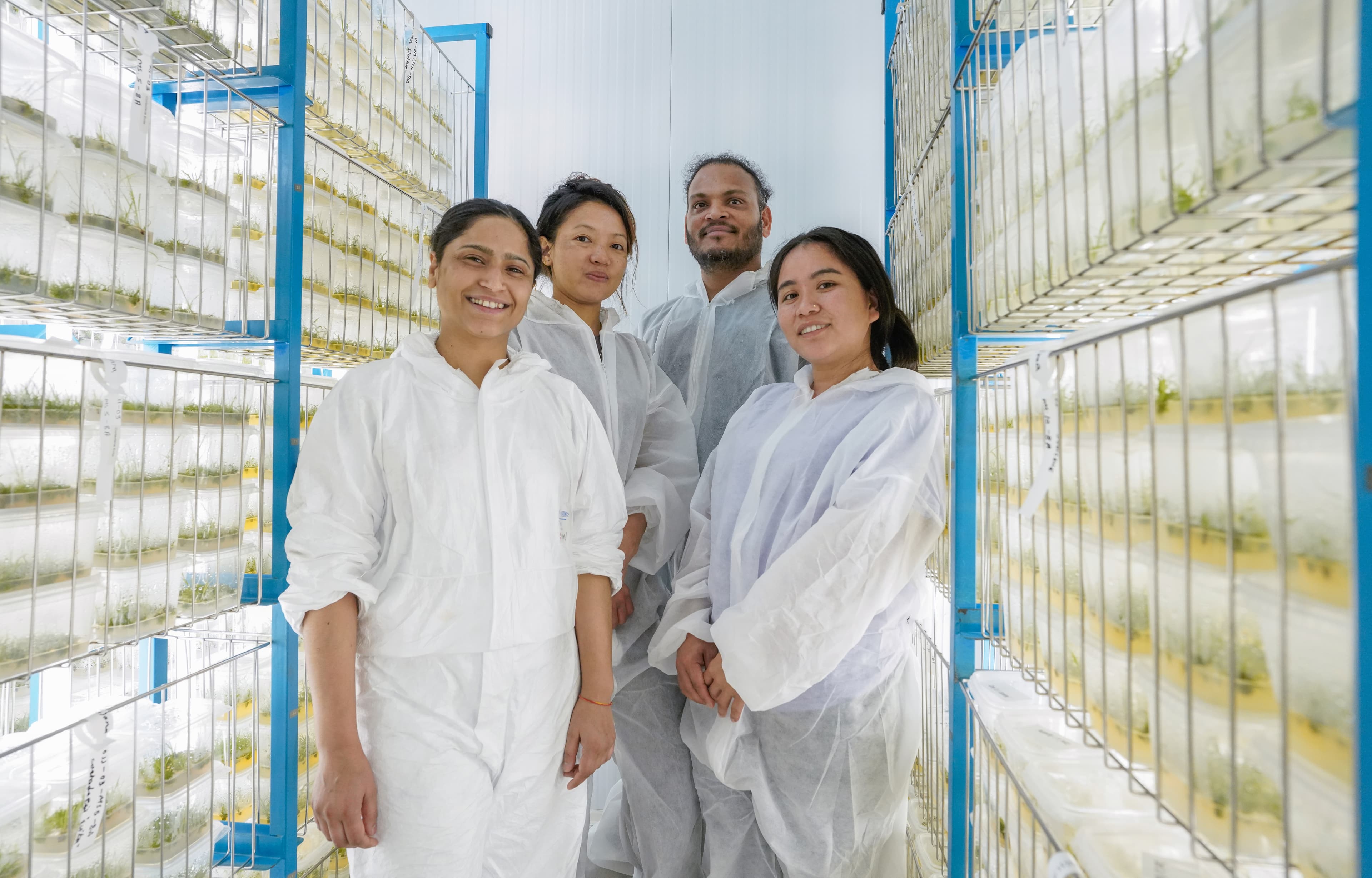 Wachstum, Innovation und Nachhaltigkeit